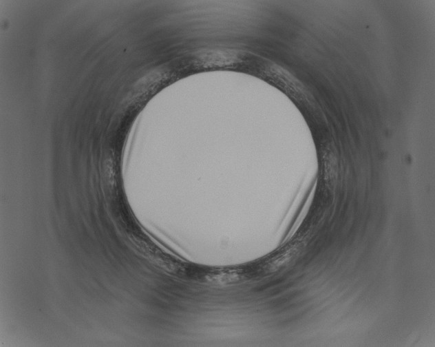 X0000072940362200608181347