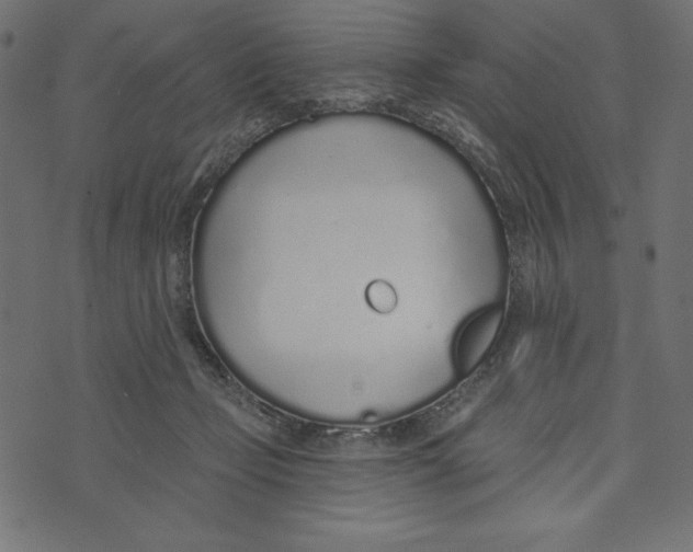 X0000072940365200608181347