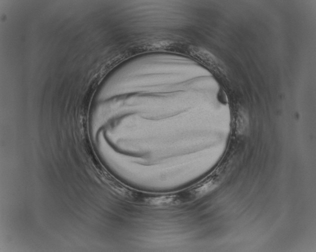 X0000072940366200608181347