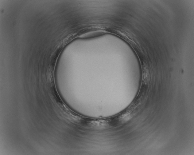 X0000072940367200608181347