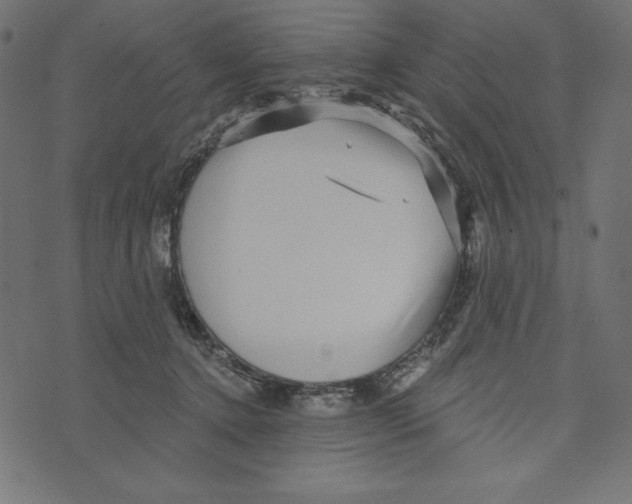 X0000072940368200608181347