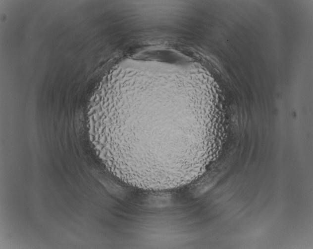 X0000072940369200608181347