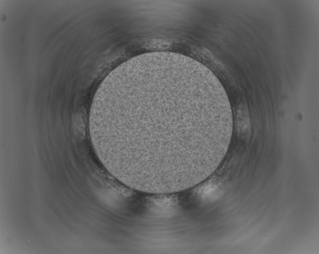 X0000072940370200608181347