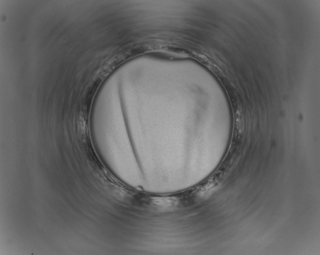 X0000072940371200608181347