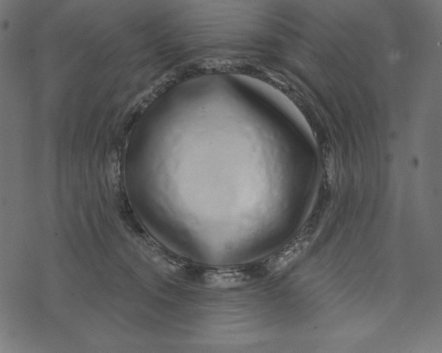 X0000072940372200608181347