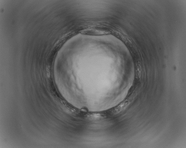 X0000072940374200608181347