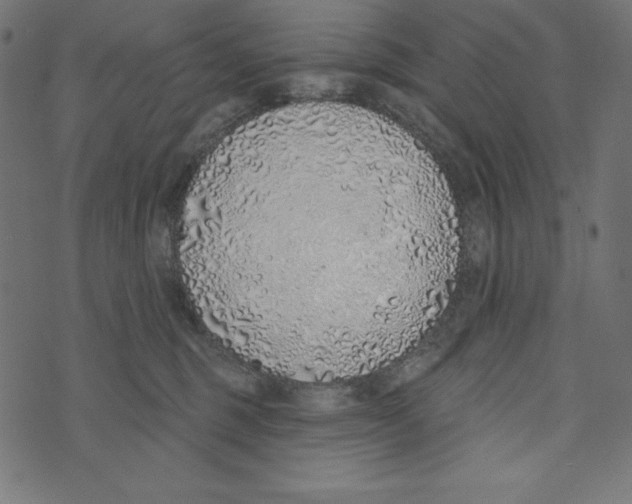 X0000072940375200608181347