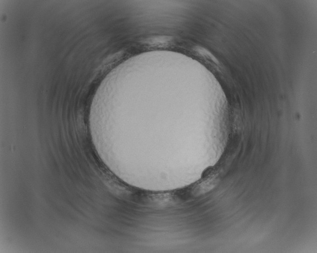 X0000072940377200608181347