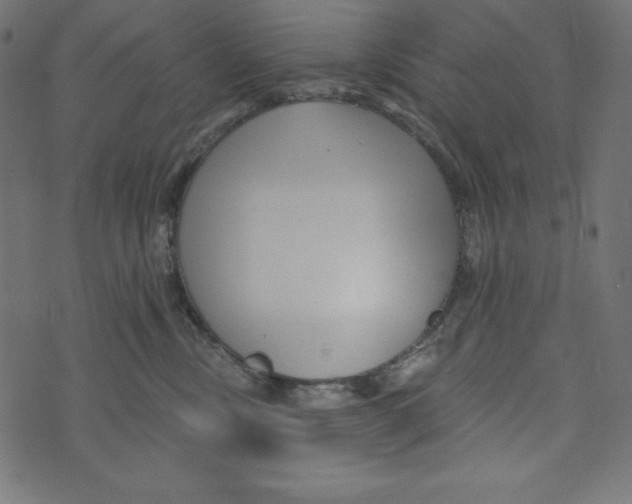 X0000072940378200608181347