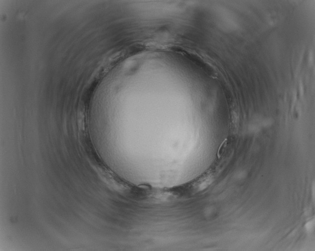 X0000072940379200608181347