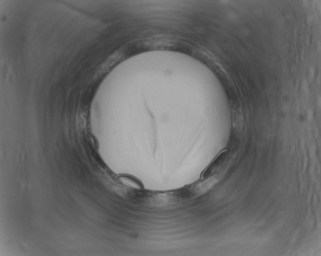 X0000072940382200608181347