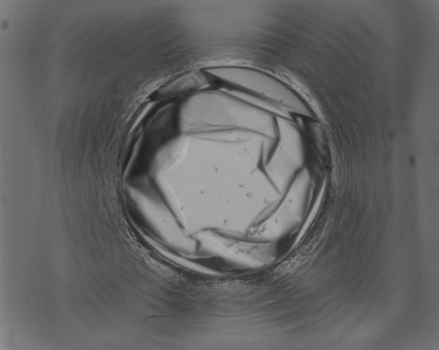 X0000072940385200608181346