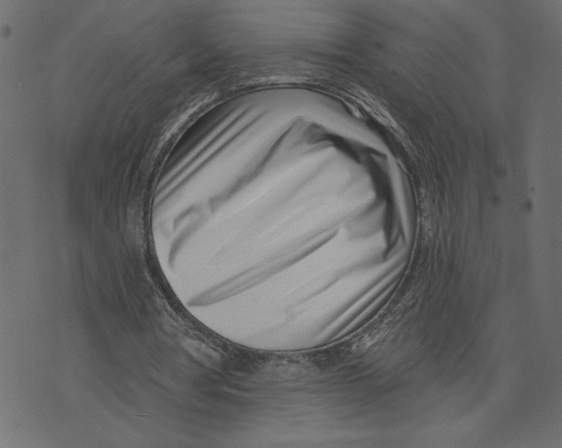 X0000072940386200608181346