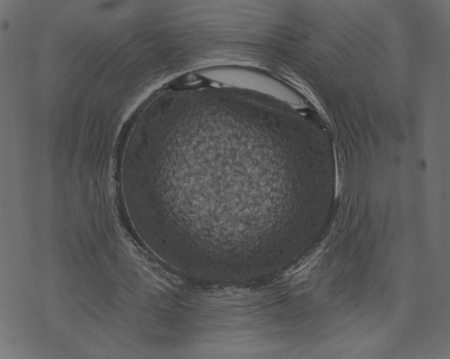 X0000072940387200608181346