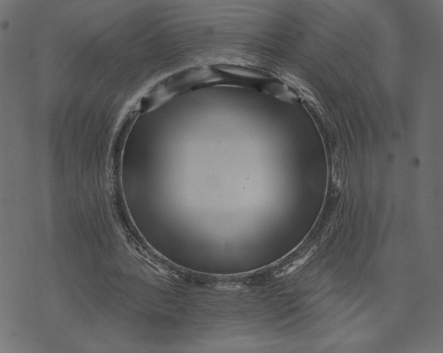 X0000072940388200608181346