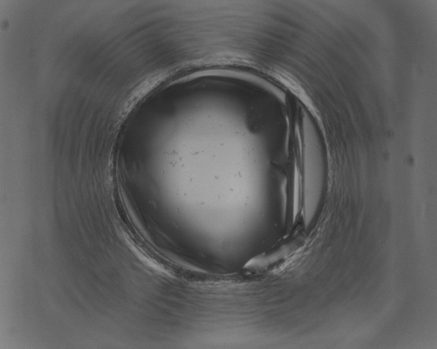 X0000072940389200608181346