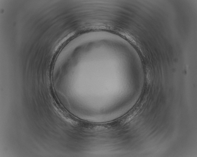 X0000072940390200608181346