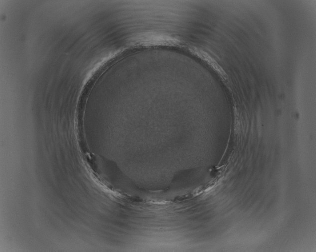 X0000072940391200608181346