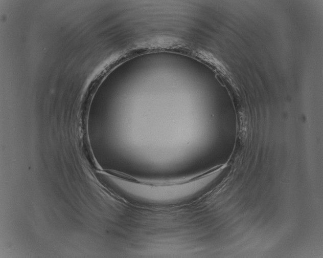 X0000072940392200608181346