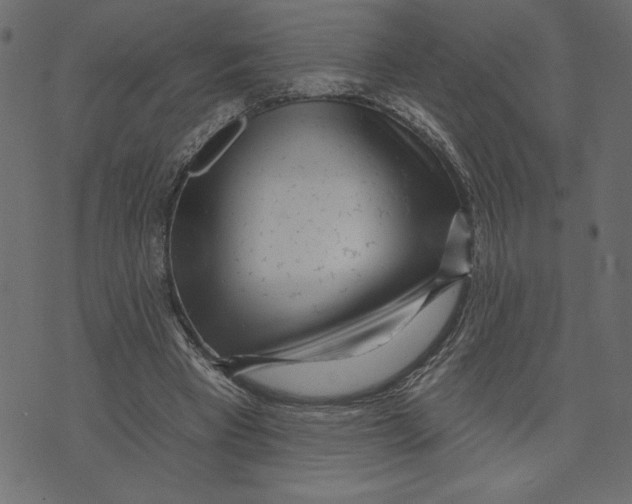 X0000072940393200608181346