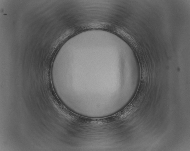 X0000072940394200608181346