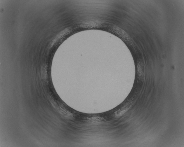 X0000072940396200608181346