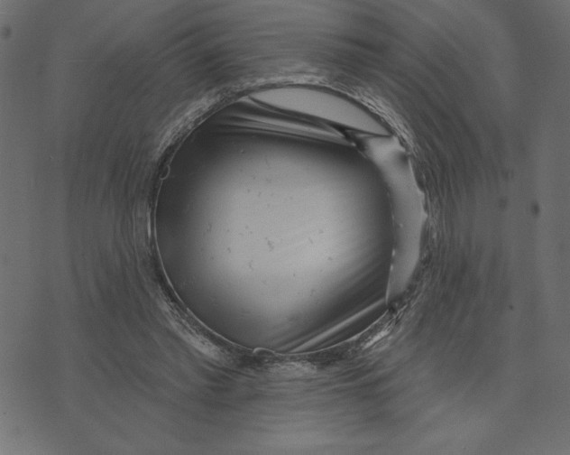 X0000072940397200608181346