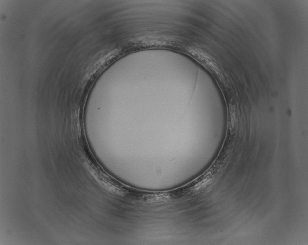 X0000072940398200608181346