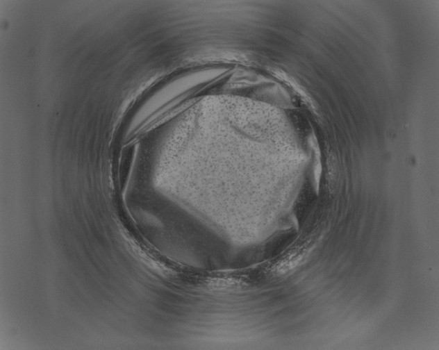 X0000072940399200608181346