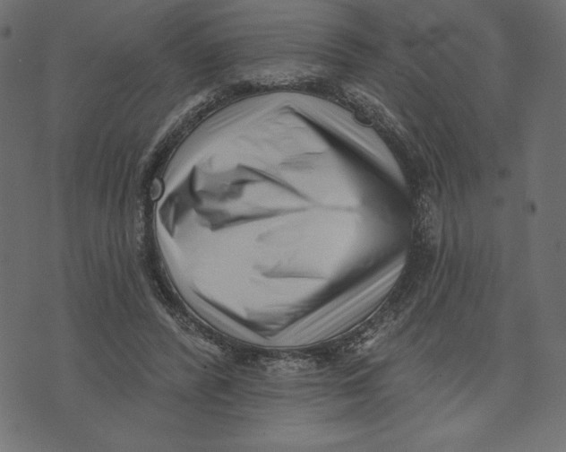 X0000072940400200608181346