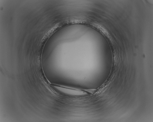 X0000072940401200608181346