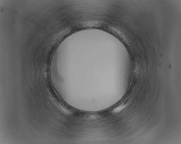 X0000072940402200608181346