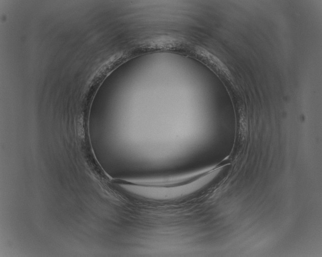 X0000072940403200608181346