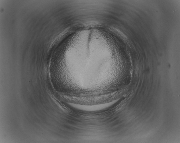 X0000072940405200608181346