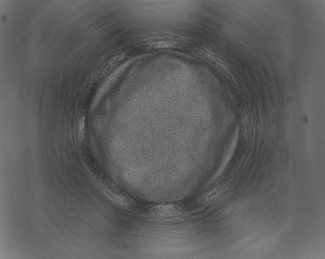 X0000072940406200608181346