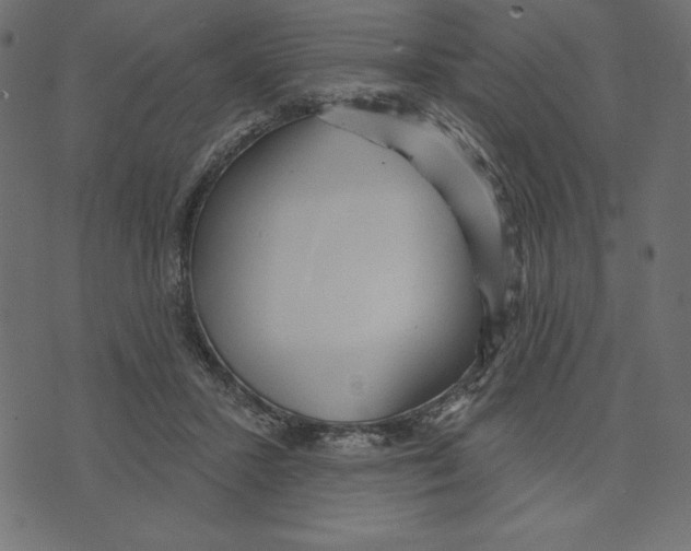 X0000072940407200608181346