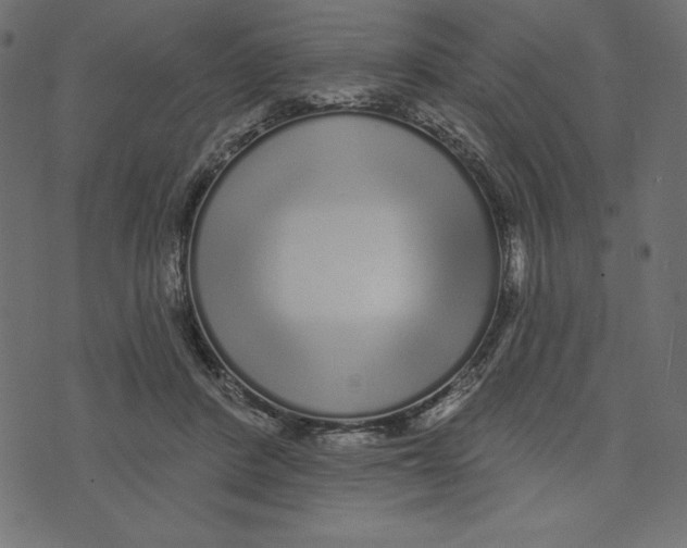 X0000072940408200608181346