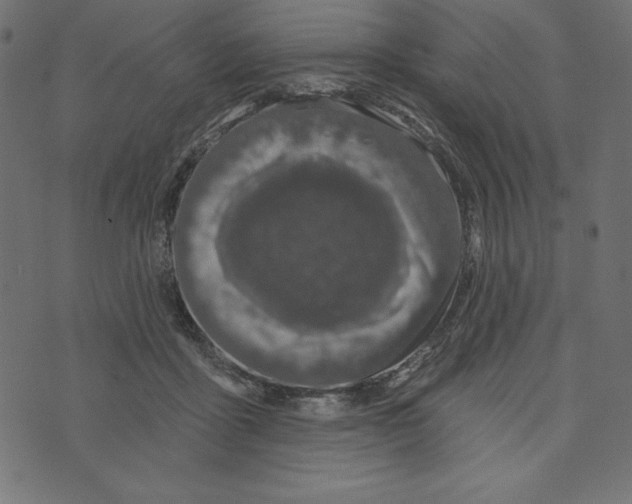 X0000072940411200608181346