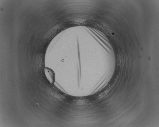 X0000072940412200608181346