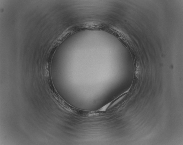 X0000072940413200608181346