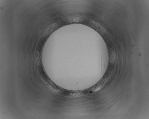 X0000072940414200608181346