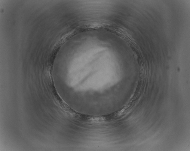 X0000072940415200608181346