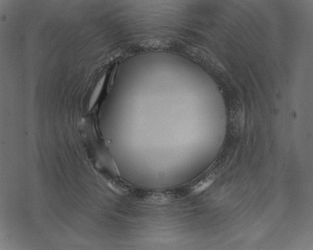 X0000072940416200608181346