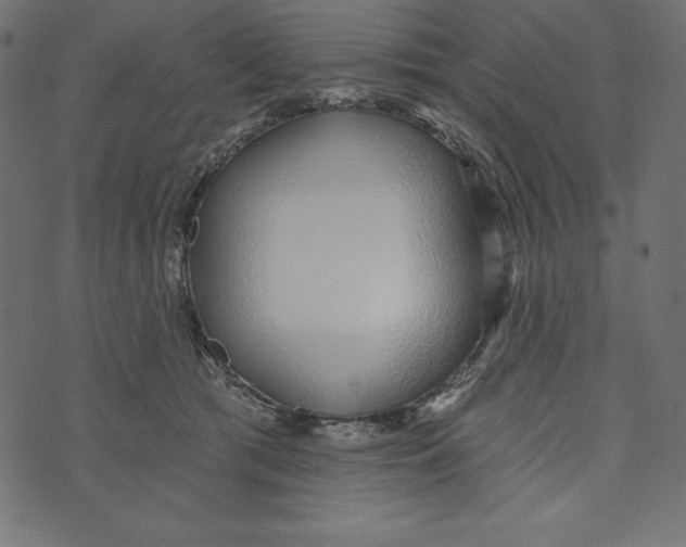 X0000072940417200608181346