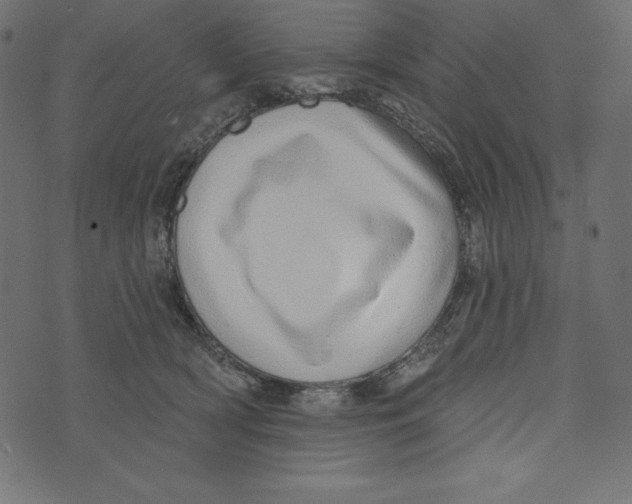 X0000072940418200608181346