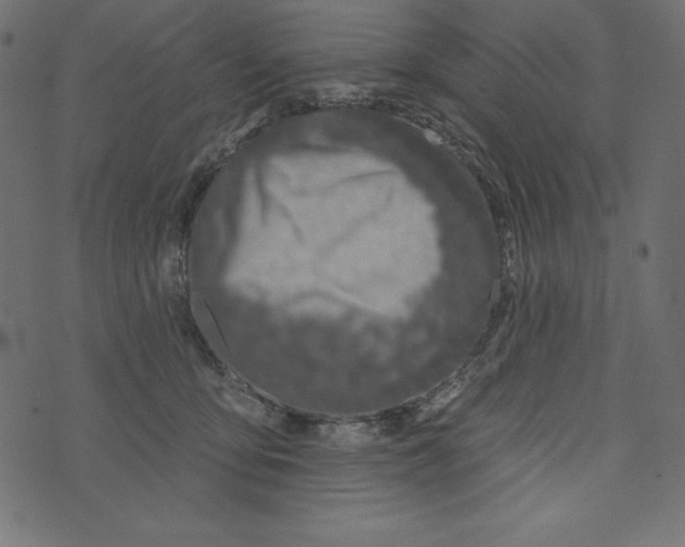 X0000072940419200608181346