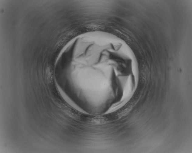 X0000072940420200608181346