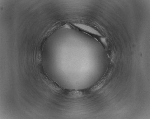 X0000072940421200608181346