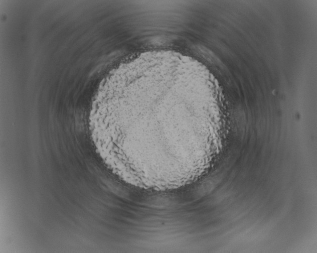 X0000072940423200608181346