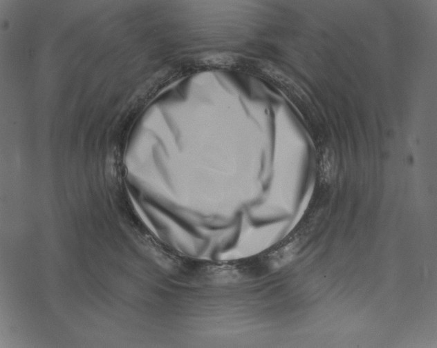 X0000072940424200608181346